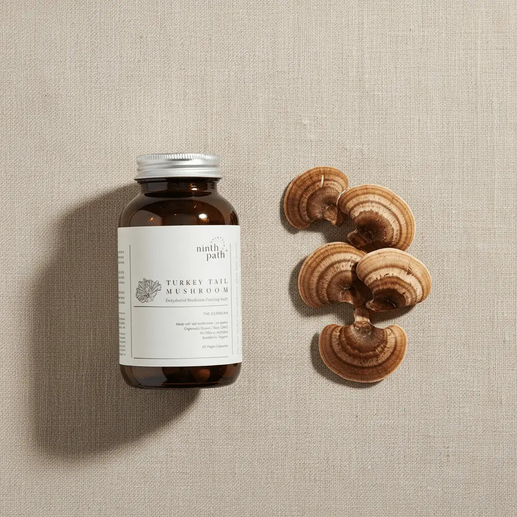 Turkey Tail Capsules — Immune Support - Mushroom Supplements - valley-botanicals.com