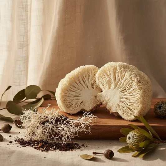 Fruiting Body vs Mycelium: What Should Consumers Know? - Valley Botanicals