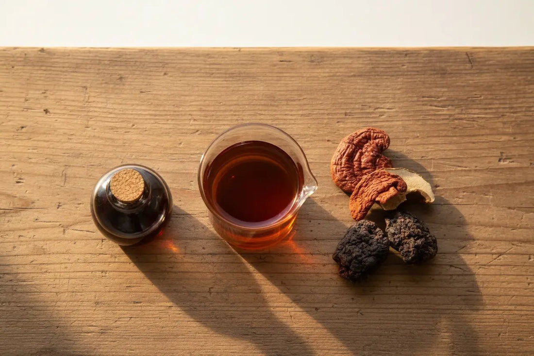 What Is Dual Extraction? Why It Matters for Mushroom Supplements - Valley Botanicals