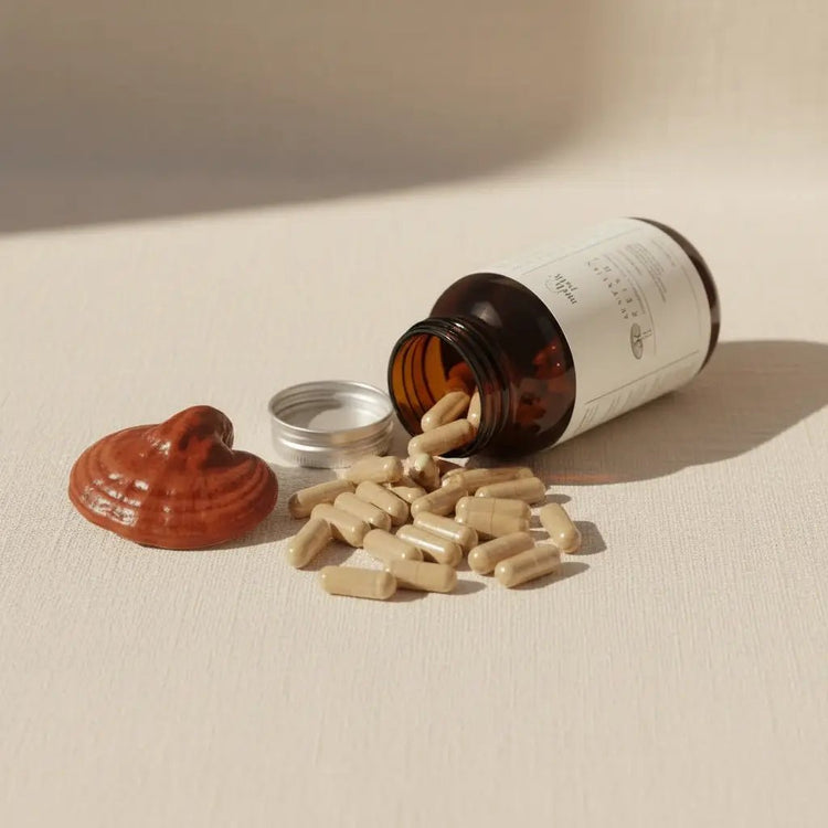Mushroom Capsules - Valley Botanicals