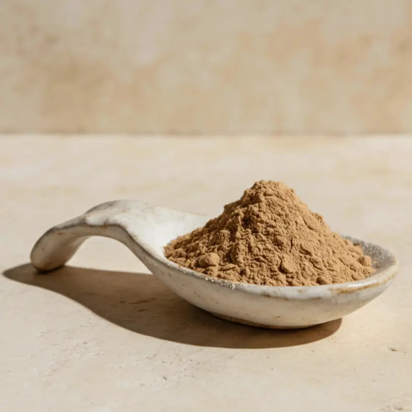 Ceramic spoon with mushroom powder on a cool stone surface