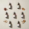 Ninth Path 7 Mushroom Drops Bundle - Flat Lay