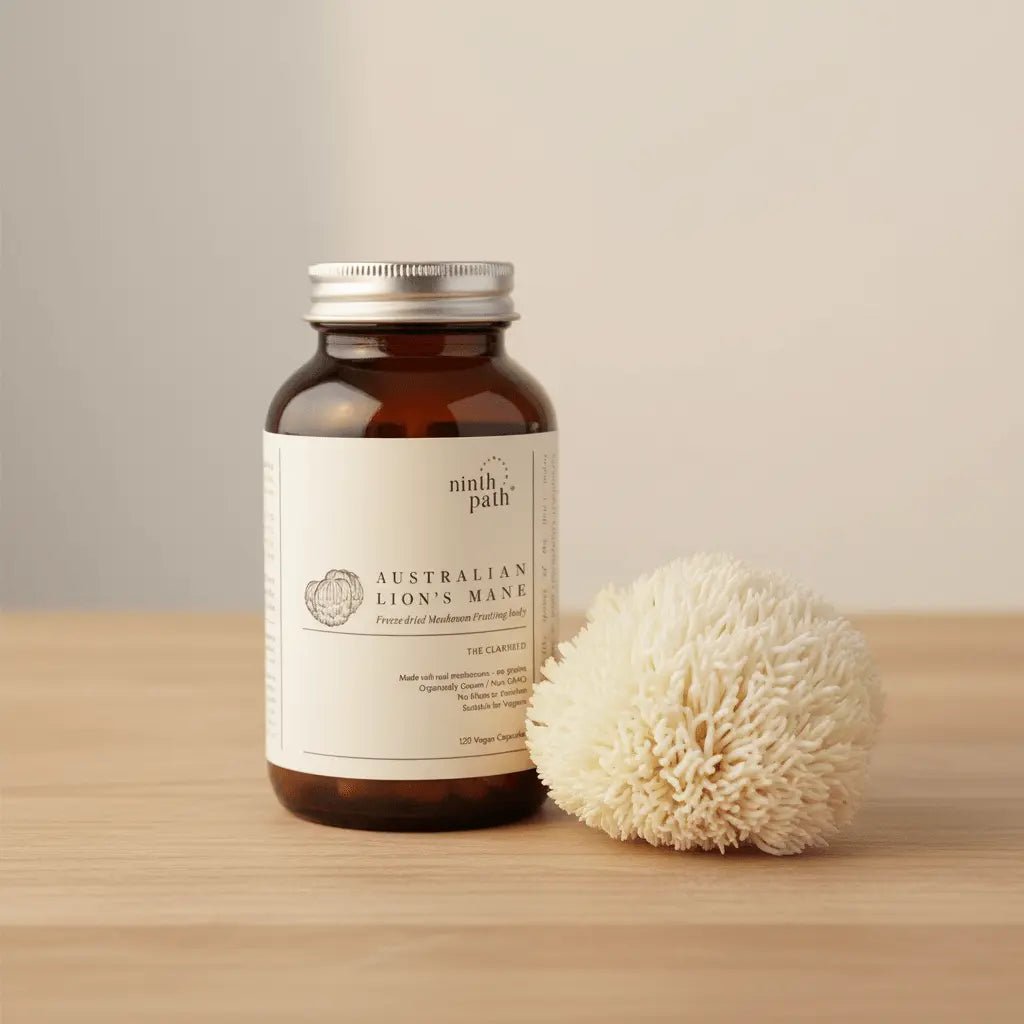 Lion's Mane Capsules — Clarity & Focus - Mushroom Supplements - valley-botanicals.com