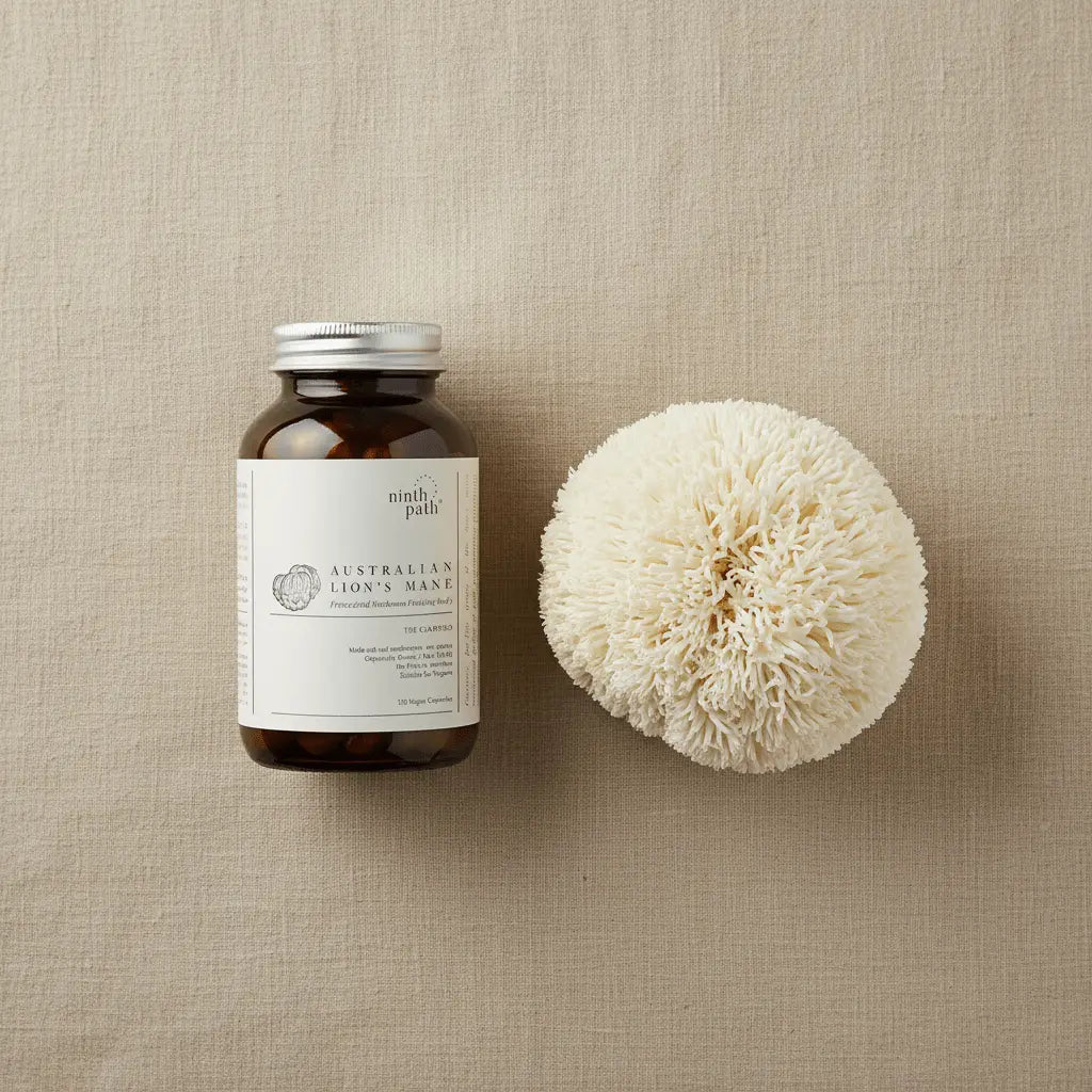 Lion's Mane Capsules — Clarity & Focus - Mushroom Supplements - valley-botanicals.com