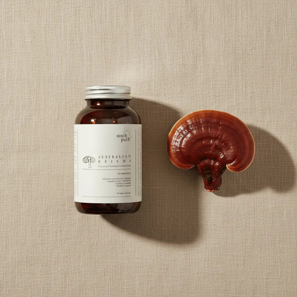 Reishi Capsules — Calm & Resilience - Mushroom Supplements - valley-botanicals.com