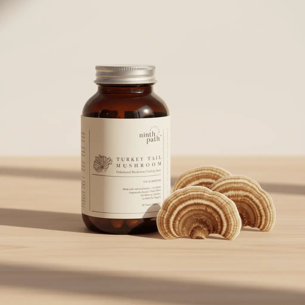 Turkey Tail Capsules — Immune Support - Mushroom Supplements - valley-botanicals.com