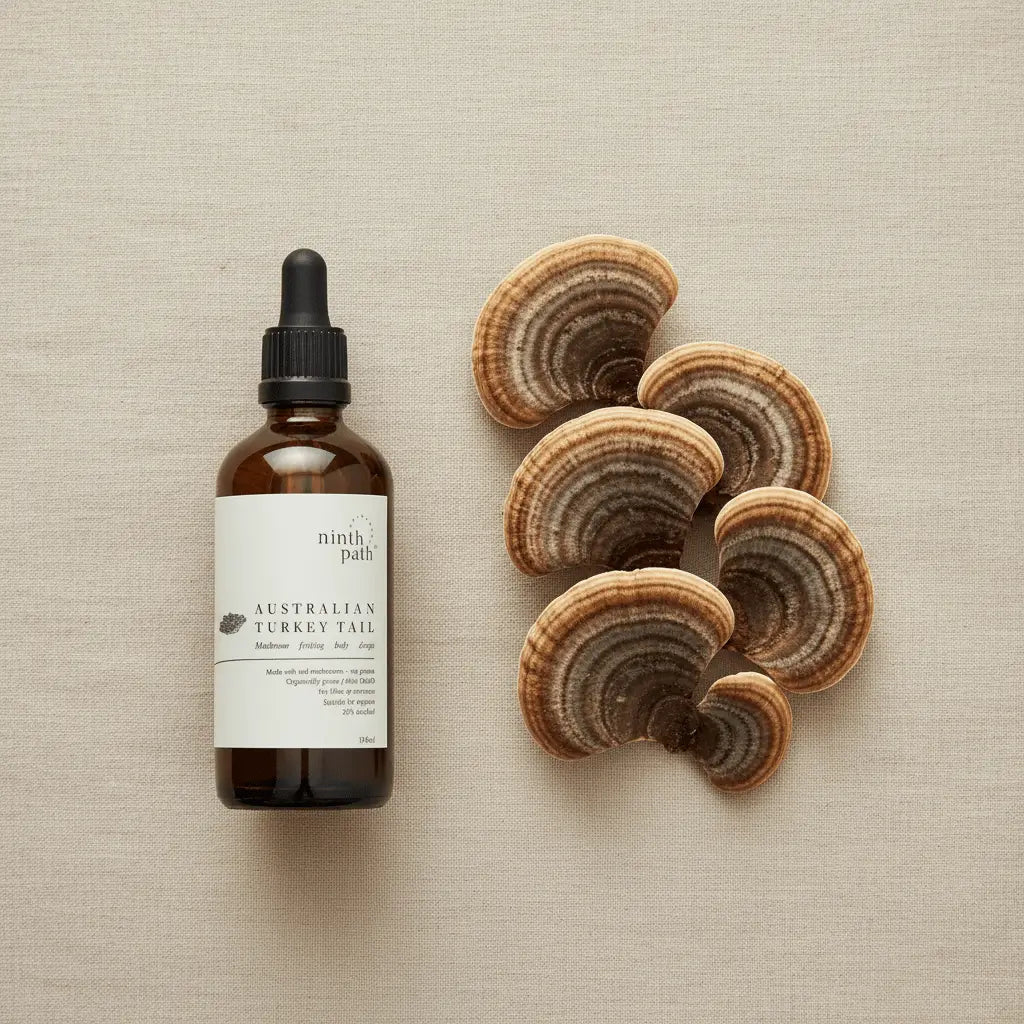 Turkey Tail Drops — Immune Support - Mushroom Supplements - valley-botanicals.com