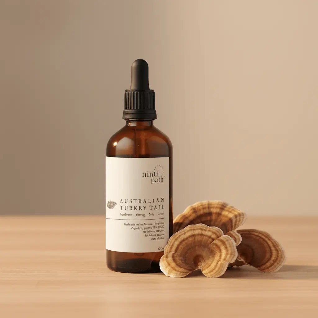 Turkey Tail Drops — Immune Support - Mushroom Supplements - valley-botanicals.com